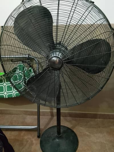 Pak fan
