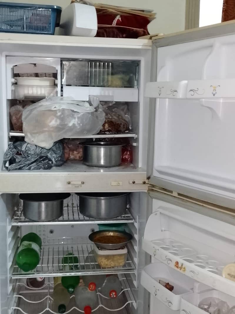 Fridge 4