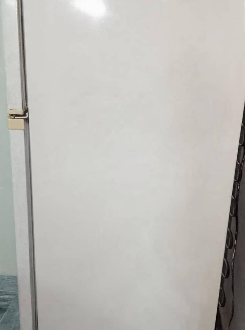 Fridge 5