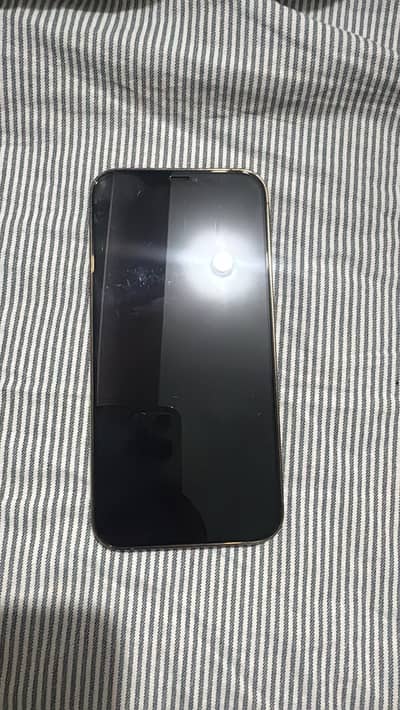 Apple iPhone 12 Pro Max