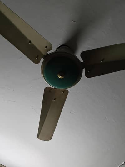 3 fans
