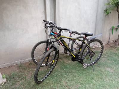 mountain bicycle