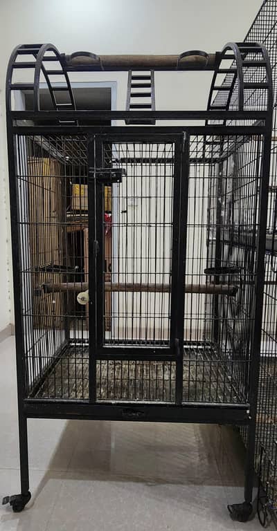 cage for big parrots