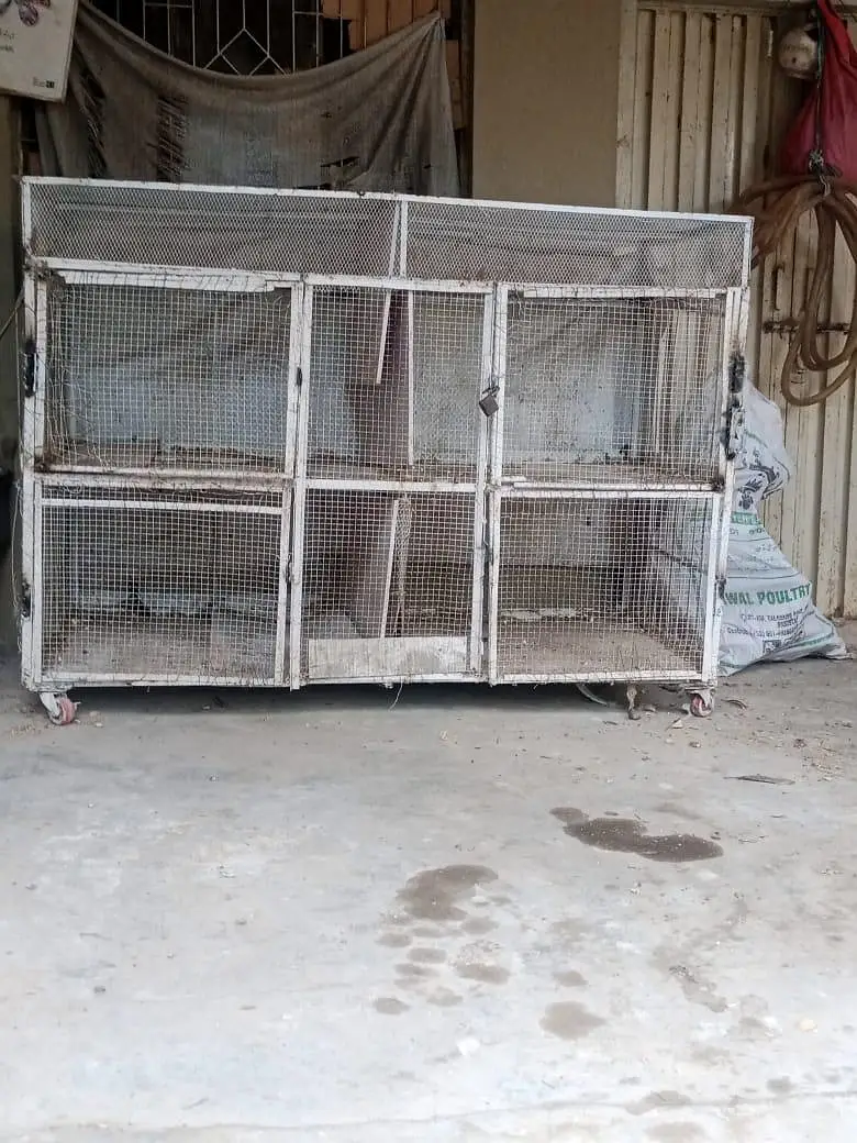 Iron cage pinjra with wheels for hess and other birds — photo 2