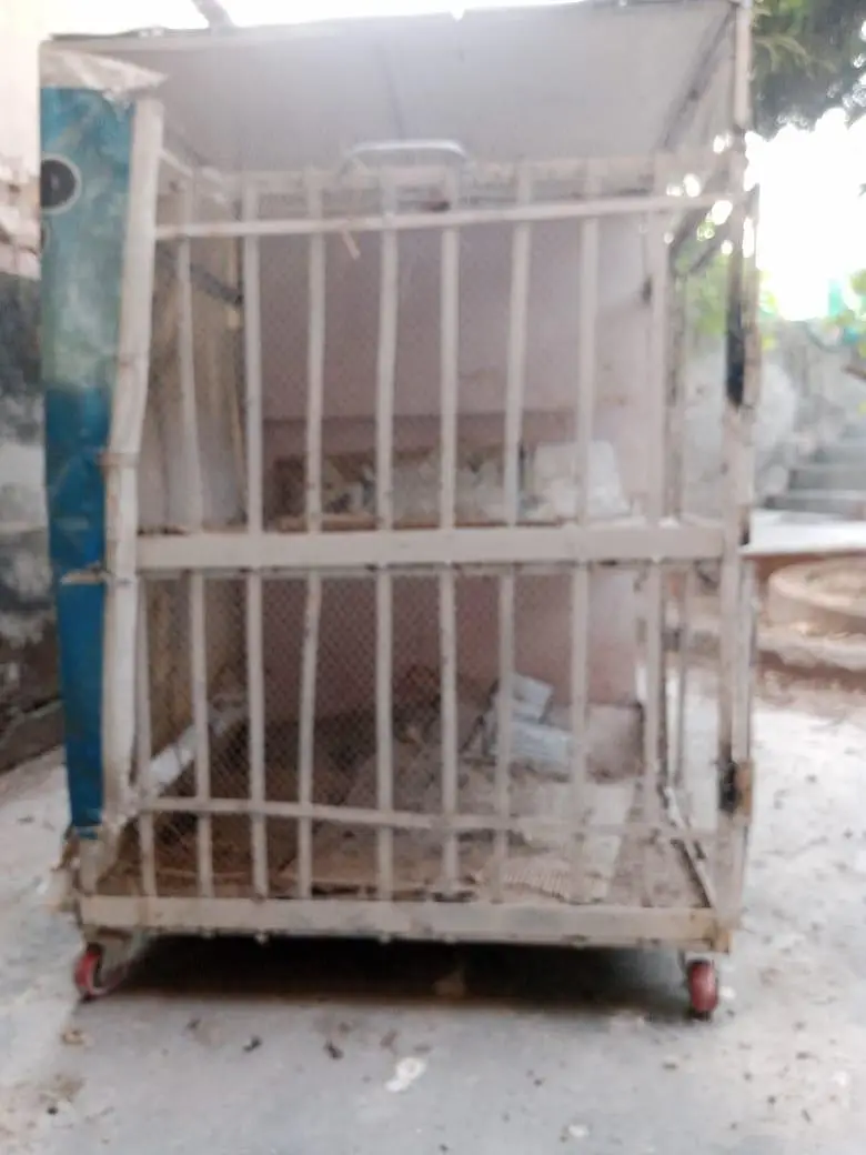 Iron cage pinjra with wheels for hess and other birds — photo 3