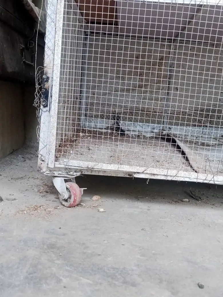 Iron cage pinjra with wheels for hess and other birds — photo 4