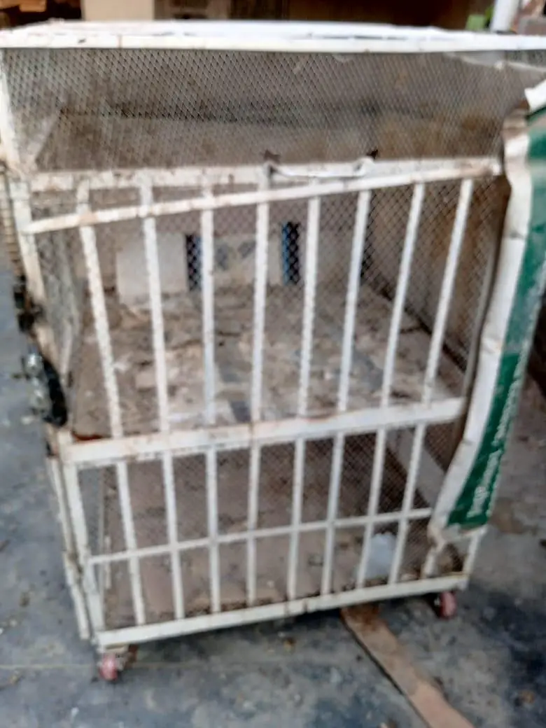 Iron cage pinjra with wheels for hess and other birds — photo 5