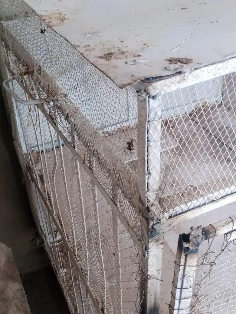 Iron cage pinjra with wheels for hess and other birds — photo 6