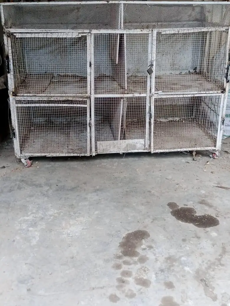 Iron cage pinjra with wheels for hess and other birds — photo 7