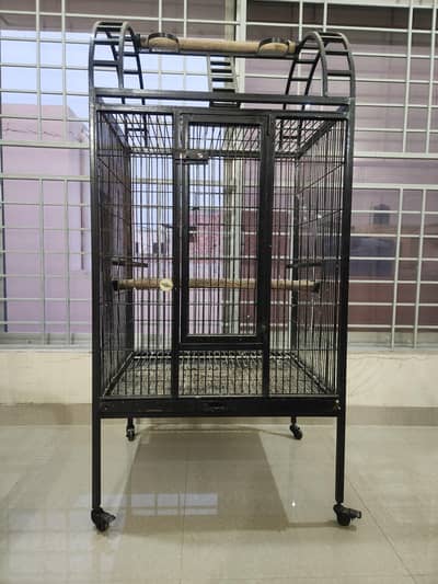 cage for parrots