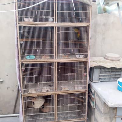8 portion cage