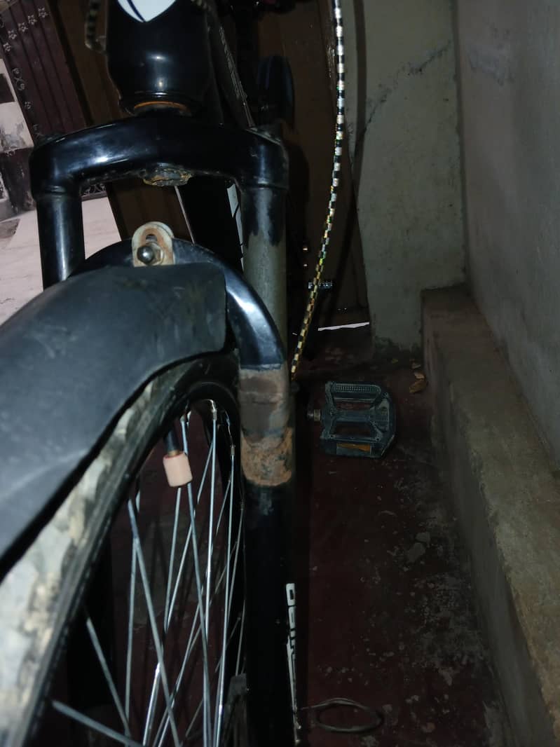 bicycle 2