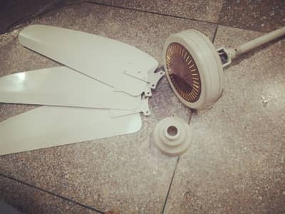 Royal Fan for Urgent Sale