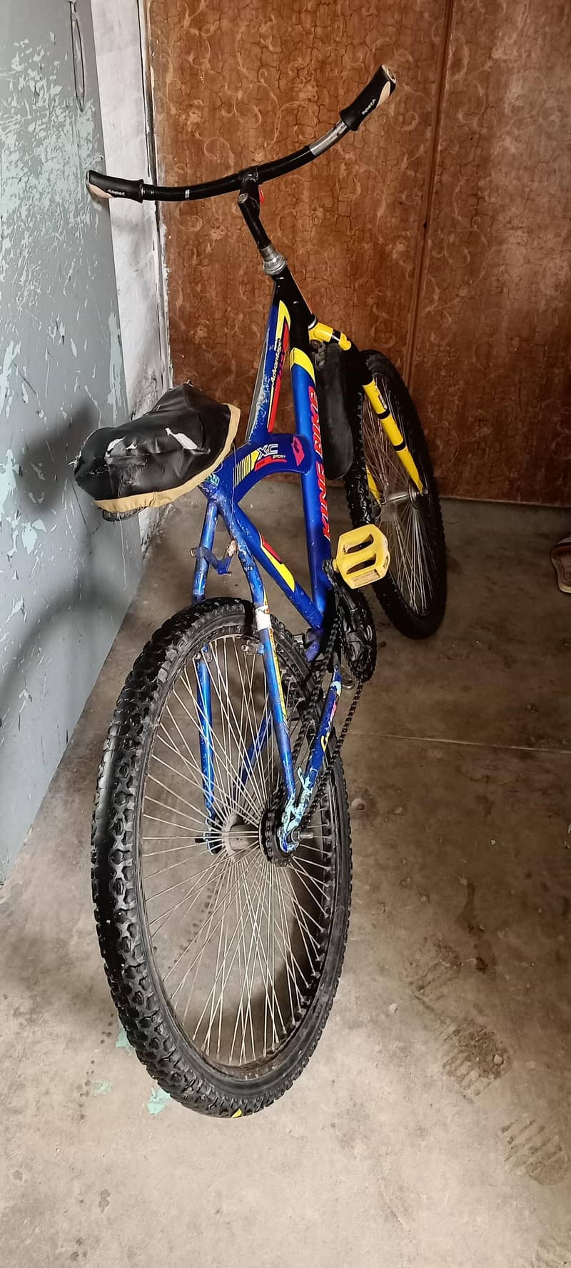bicycle 1