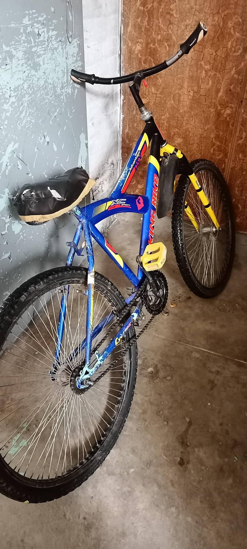 bicycle 2