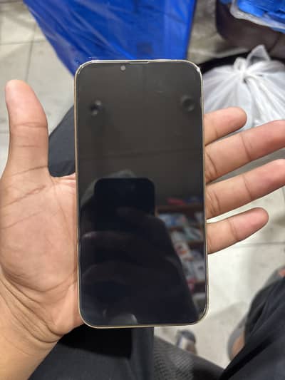 Apple iPhone 13 Pro Max