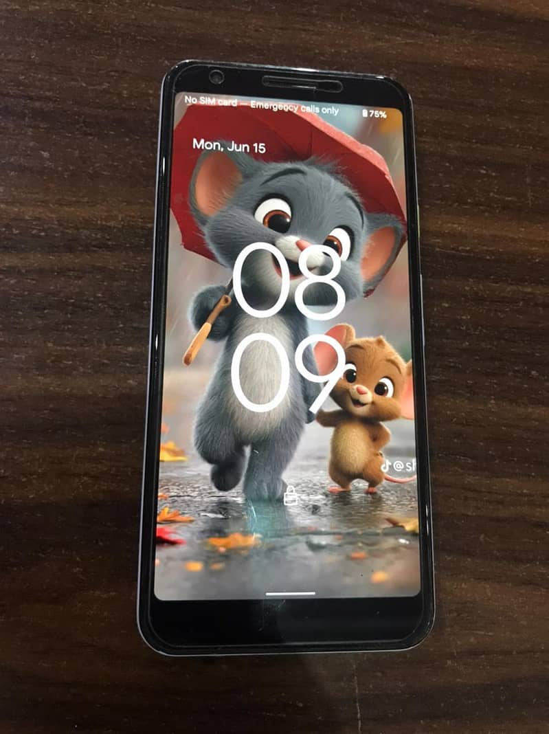 Google Pixel 3a 1