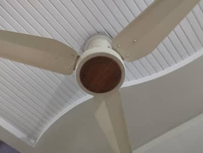 1 Ceiling Fan For Sale - Good Condition