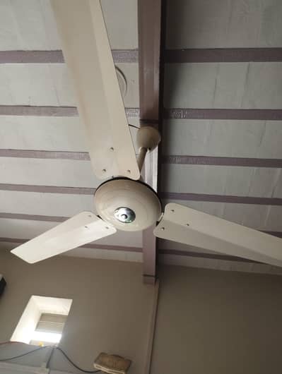 1 Ceiling Fan For Sale - Good Condition