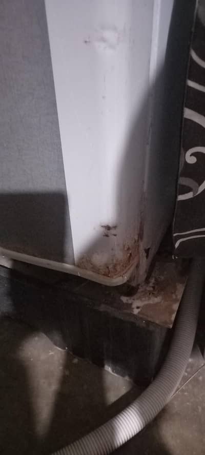 Dawalance fridge