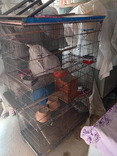 Master Cage for sale