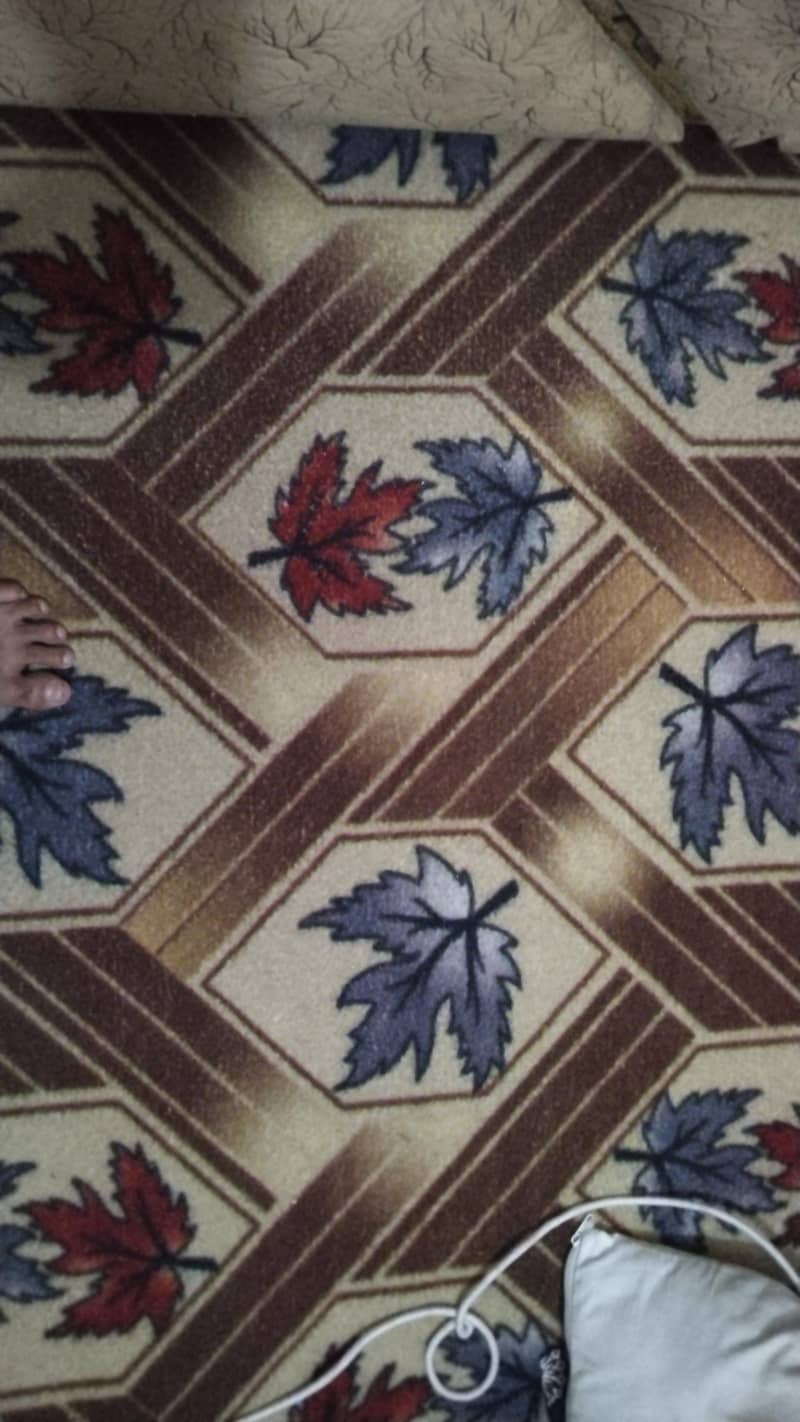 Carpet 1