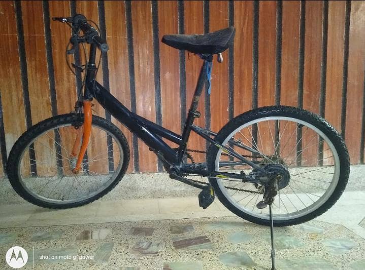 Cycle 0