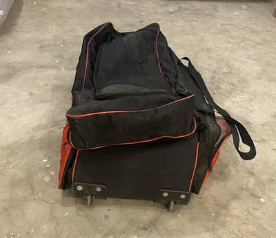 Professional cricket kit bag