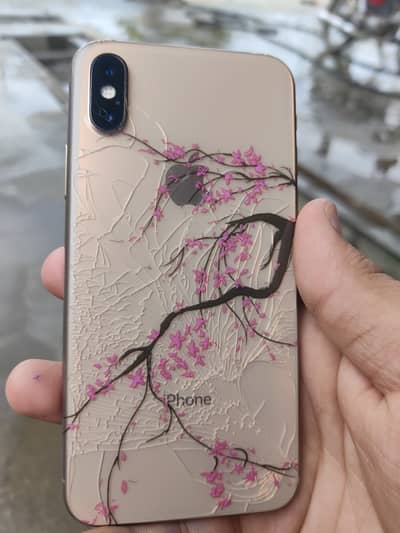 Apple iPhone XS 256Gb F. U All ok Face id ok back break