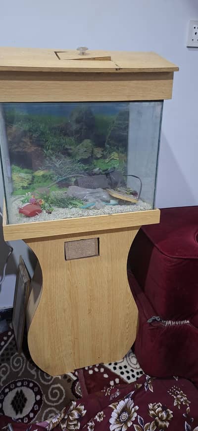 acurium