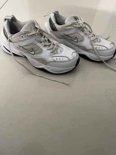 Original Nike M2k Teknos
