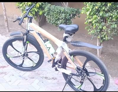 bye cycle