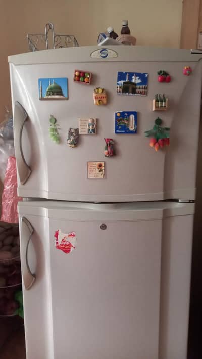 PEL REFRIGERATOR FOR SALE