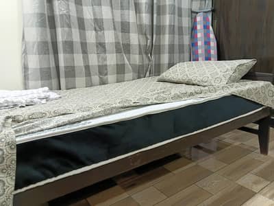 Single Ortho Medicated Mattress