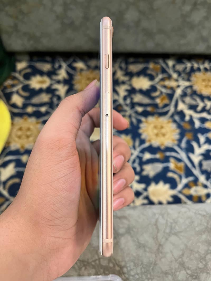 Apple iPhone 8 Plus 1