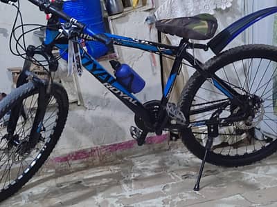 Royal BMX bike