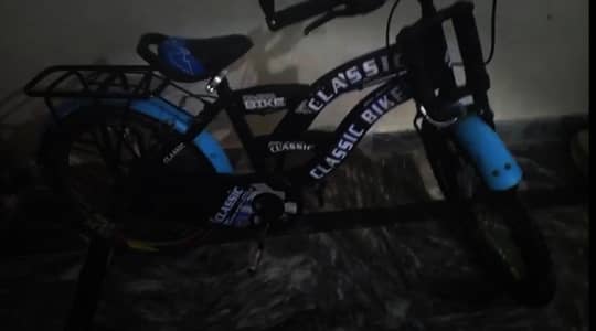 classic cycle