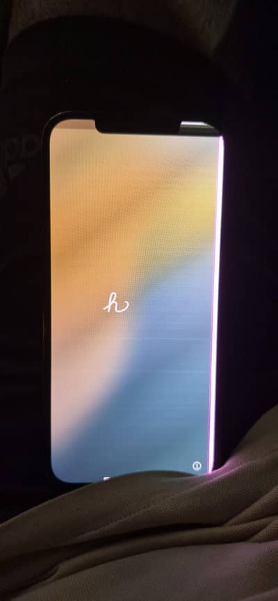 Apple iPhone 12 Pro Max