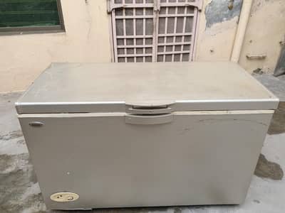 Wawes big size single door freezr