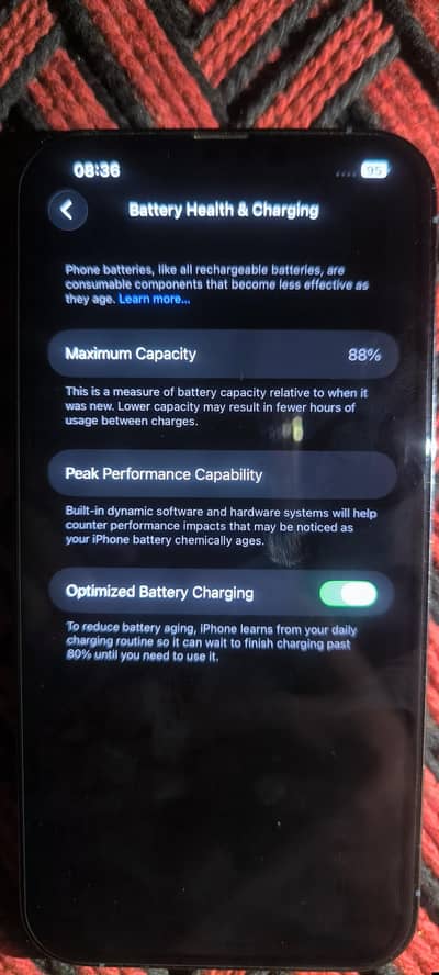 Apple 13 pro max