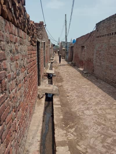 okara city Bangla gogera