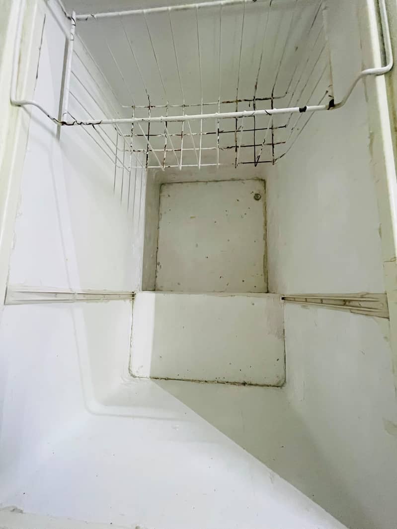 waves deep freezer 1