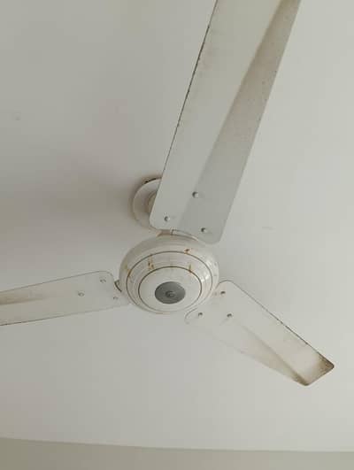 7 home use Branded Fan Urgent sale