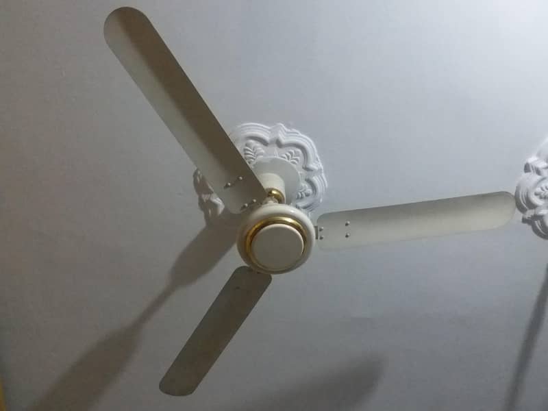 undefined 1