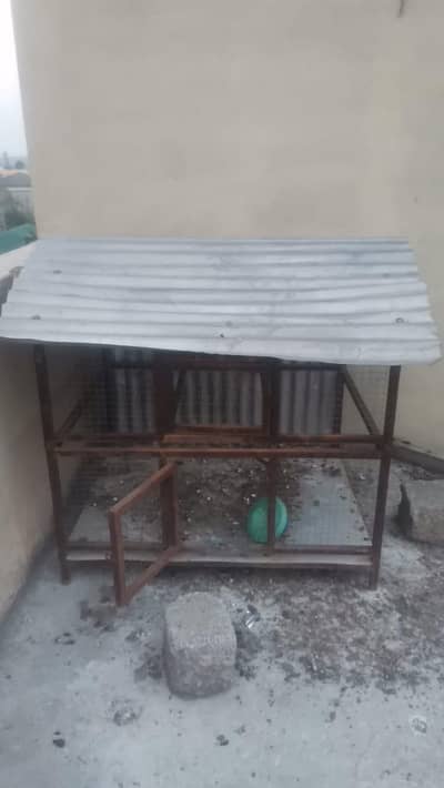 3x3 Bird Cage / Kabootar Cage