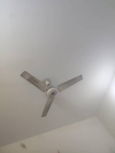 GFC Ceiling Fan