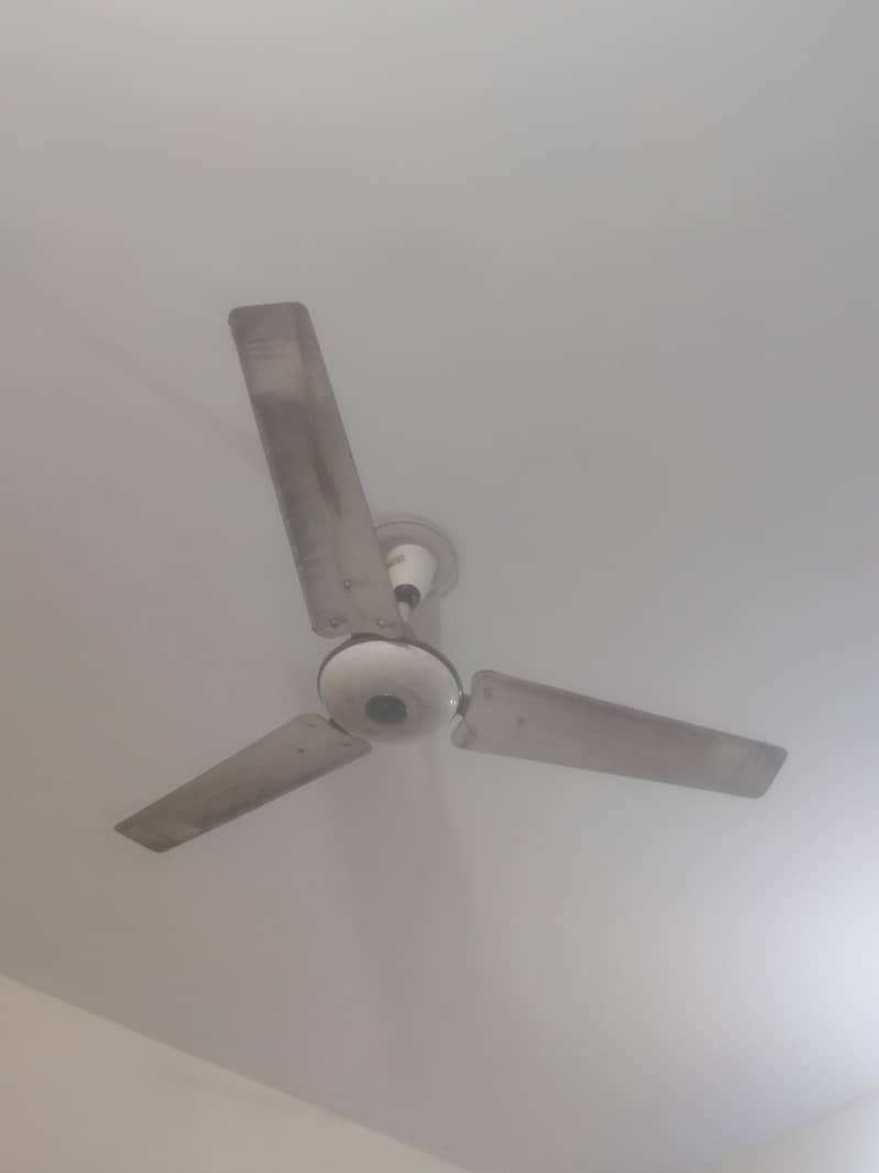 Ceiling Fan 1