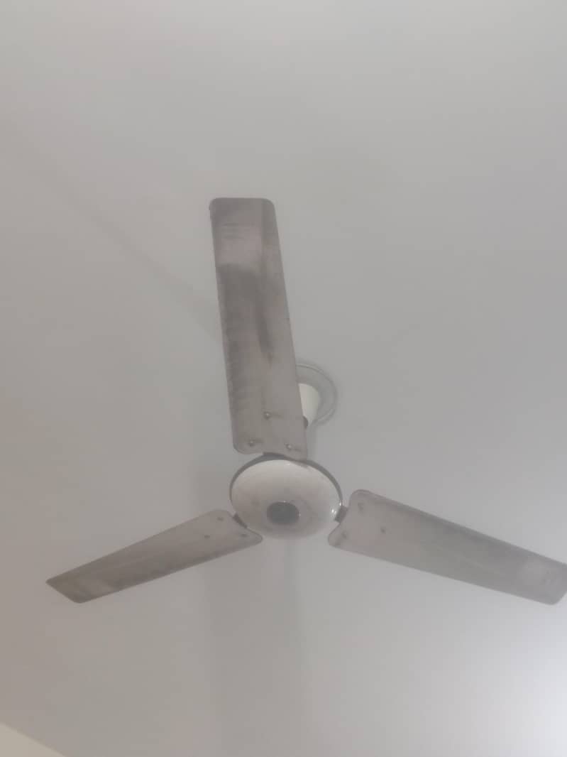 Ceiling Fan 2