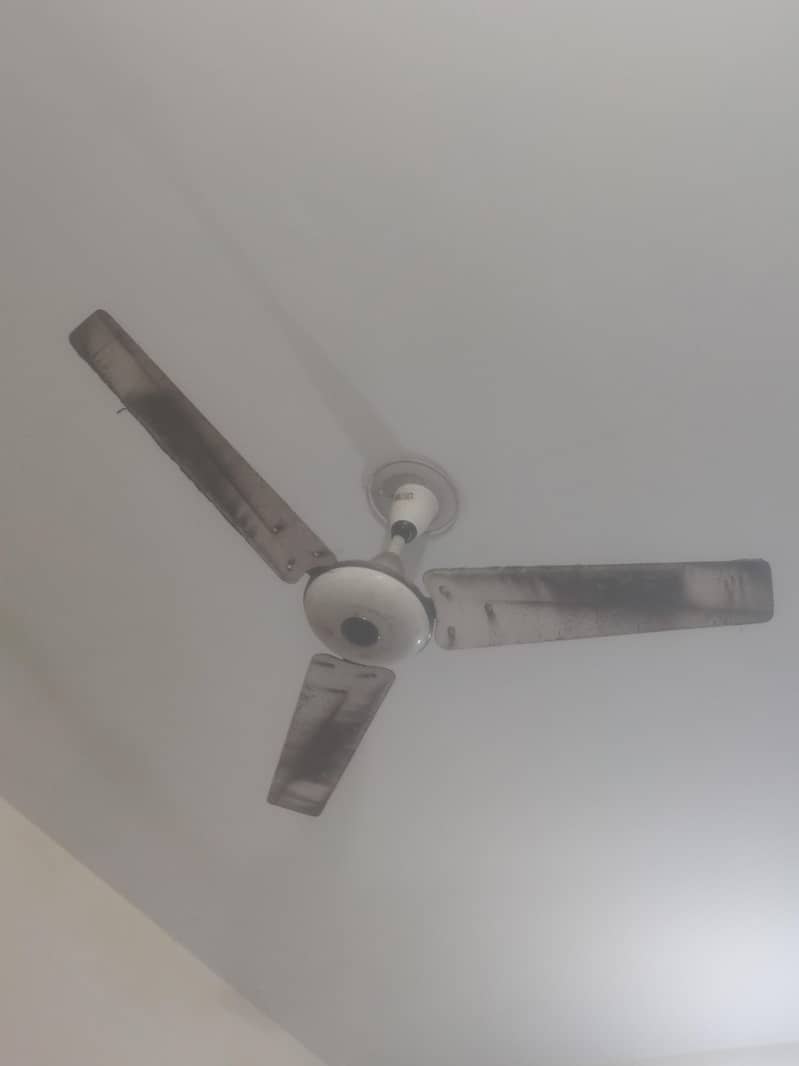 Ceiling Fan 3