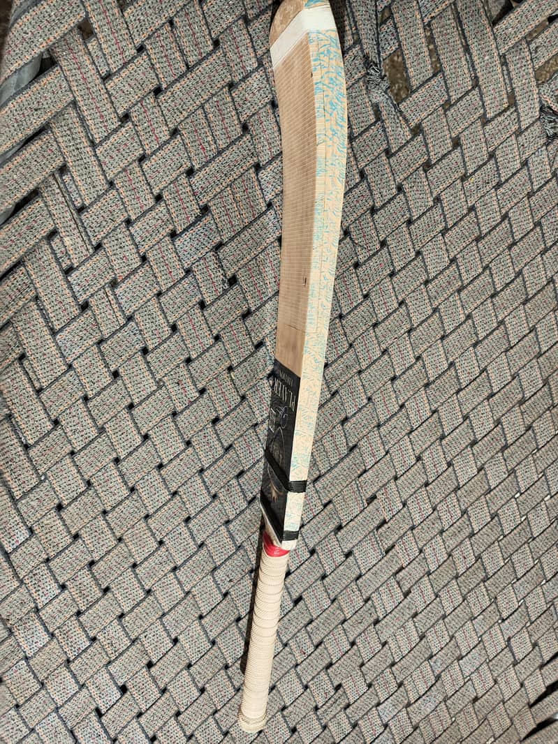 Coconut Bat 1